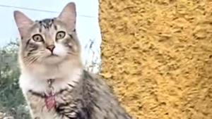 Relacionada principal_whatsapp-image-2025-12-12-at-111545-am-2.jpg