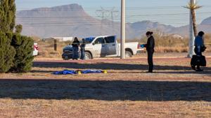 Relacionada inshot_20251219_100817011.jpg