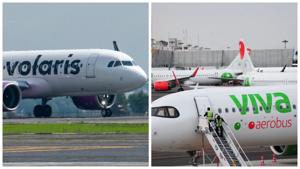 Relacionada volarisviva.jpg