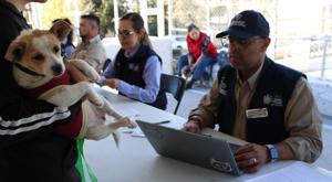 Relacionada campana3.jpg