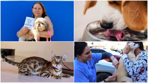 Relacionada tenecia-responsable.jpg