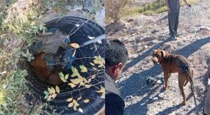 Relacionada descarga-2025-12-21t204842228.jpg