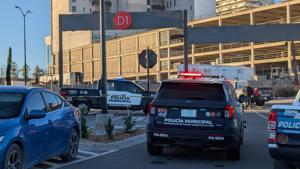 Relacionada inshot_20251222_084828744.jpg