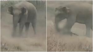 Relacionada fotojet.jpg