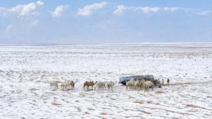 Relacionada g8ok9obxgaawsri.jpg