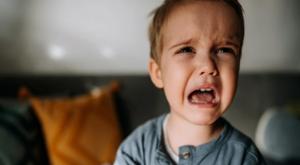 Relacionada download-2025-12-22t132246705.jpg