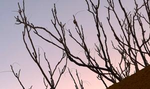 Relacionada clima23diciembre.jpg