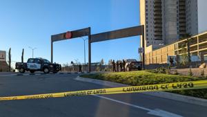 Relacionada b2ca2739-4dfd-4cd0-95be-be3ea178b03a.jpg