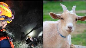 Relacionada fotojet-6.jpg