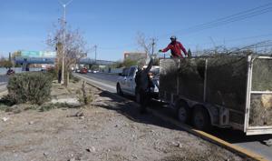 Relacionada img-20251223-wa0235.jpg