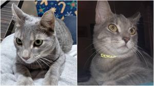 Relacionada whatsapp-image-2025-12-23-at-83853-pm.jpg