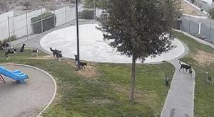 Relacionada principal_photo-output.jpg