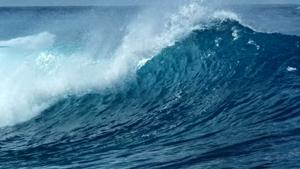 Relacionada video_preview_0000.jpg