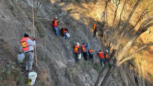 Relacionada 0bfc164c-24b2-40bb-8881-fc717e239d47.jpg