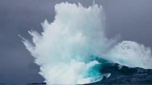 Relacionada whatsapp-image-2025-12-23-at-91858-pm.jpg