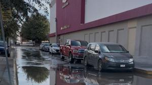 Relacionada img_9131.jpg