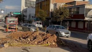 Relacionada img_9143.jpg