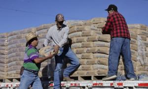 Relacionada whatsapp-image-2025-12-26-at-85449-am.jpg