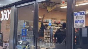 Relacionada captura-de-pantalla-2025-12-26-a-las-104353-am-1.jpg