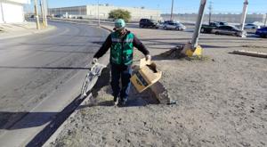 Relacionada descarga-40.jpg