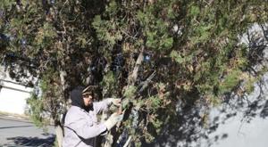 Relacionada descarga-51.jpg