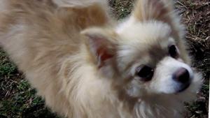 Relacionada whatsapp-image-2025-12-26-at-14225-pm.jpg