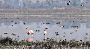 Relacionada download-2025-12-26t151335720.jpg