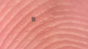 Relacionada robots.jpg