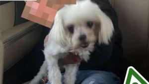 Relacionada whatsapp-image-2025-12-26-at-14329-pm.jpg