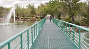 Relacionada whatsapp-image-2025-12-27-at-100801-am.jpg