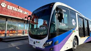 Relacionada bowi.jpg