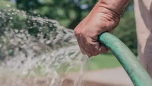 Relacionada manguerailust.jpg