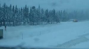 Relacionada nevada.jpg