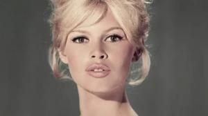 Relacionada briggitte.jpg