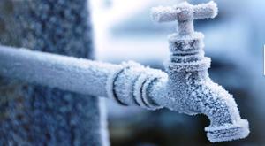 Relacionada tuberaia.jpg