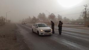 Relacionada img-20251228-wa00252.jpg