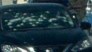 Relacionada ejec-nissan-villarreal-torres.jpg