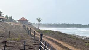 Relacionada 918d5012-0ee2-4623-91f3-87473737f13c.jpg