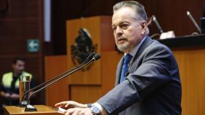 Relacionada whatsapp-image-2025-12-29-at-100020.jpg