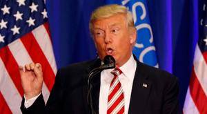 Relacionada download-2025-12-29t110839834.jpg