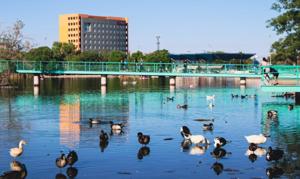 Relacionada whatsapp-image-2025-12-27-at-34521-pm.jpg