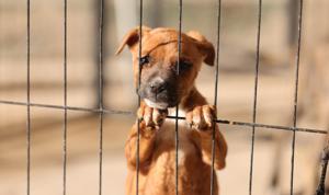 Relacionada whatsapp-image-2025-12-29-at-124216-pm.jpg