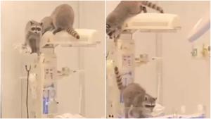 Relacionada fotojet.jpg