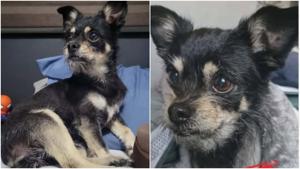 Relacionada fotojet-1.jpg