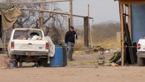 Relacionada principal_inshot_20251229_131845628.jpg