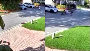 Relacionada fotojet-3.jpg