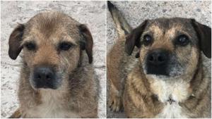 Relacionada fotojet-4.jpg