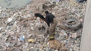 Relacionada 695413698d5c6__695413698d5c8.jpg