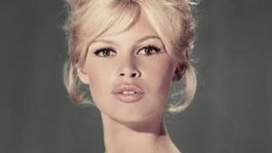 Relacionada principal_briggitte.jpg