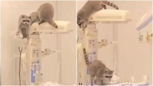 Relacionada principal_fotojet.jpg